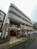 ���C�I���Y�}���V������X�{����R�̊O��